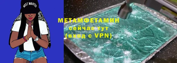 сатива Вяземский