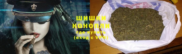 стафф Гусь-Хрустальный