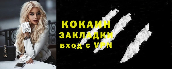 сатива Вяземский