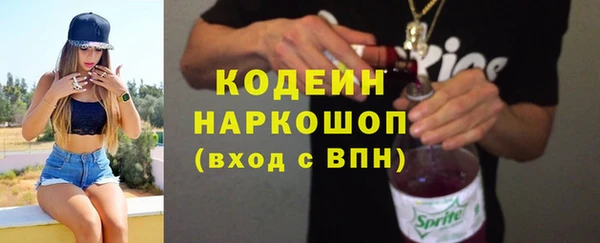 сатива Вяземский
