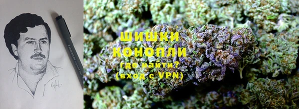 сатива Вяземский