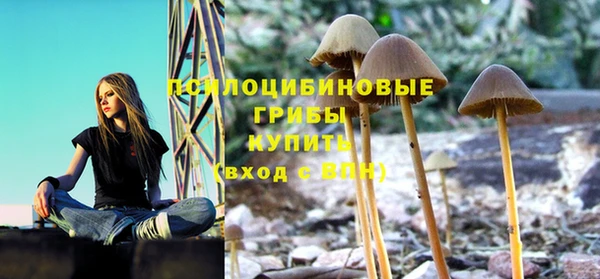 сатива Вяземский
