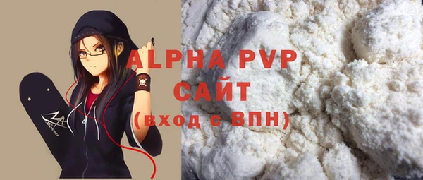 сатива Вяземский