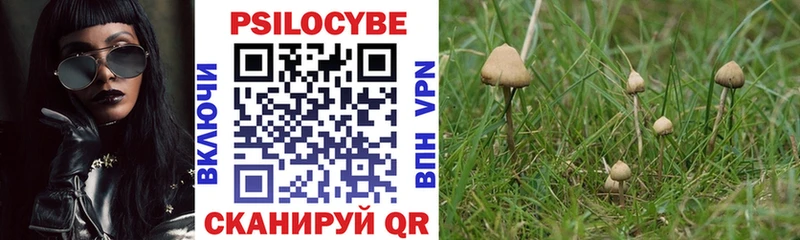 Псилоцибиновые грибы Psilocybe  купить наркотик  Егорьевск 