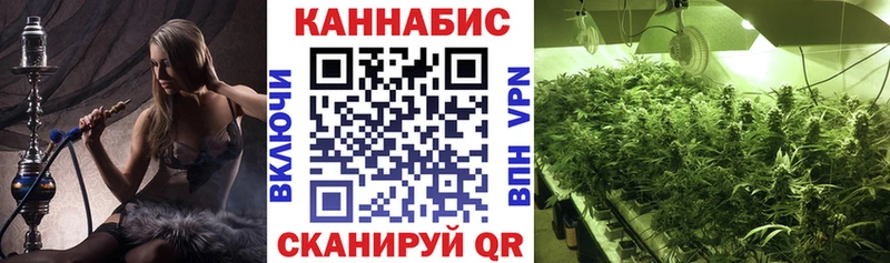 Конопля Bruce Banner Егорьевск